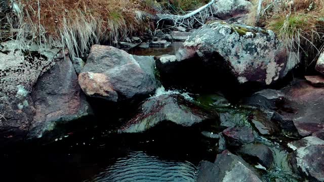 水沿着森林中的一条小溪奔流而下，动作缓慢。视频素材