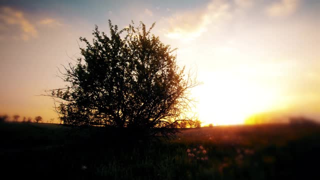 夏日的风景，映衬着夕阳视频素材