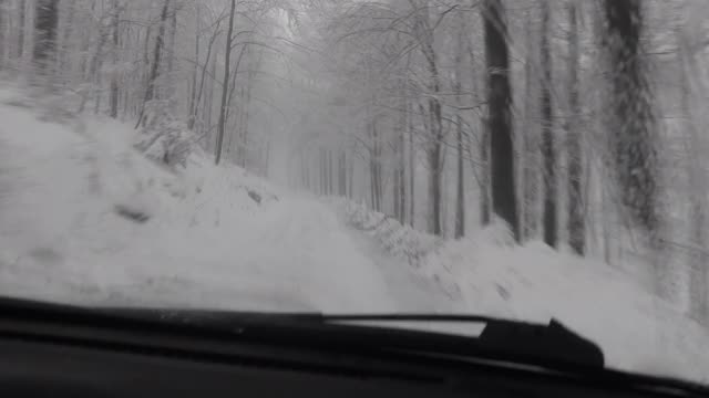 在覆盖着积雪的土路上行驶穿过森林视频素材