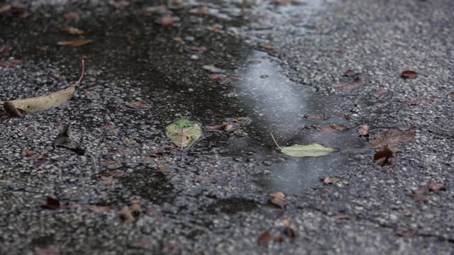 雨水落在沥青上视频素材