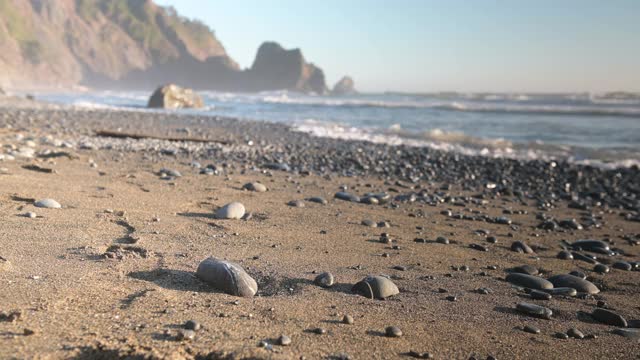 加州Del Norte海岸景观与太平洋在红木国家公园的视频视频素材