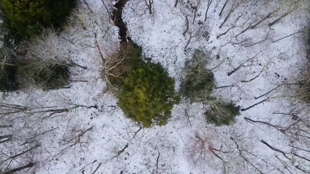 雪林鸟瞰图视频素材