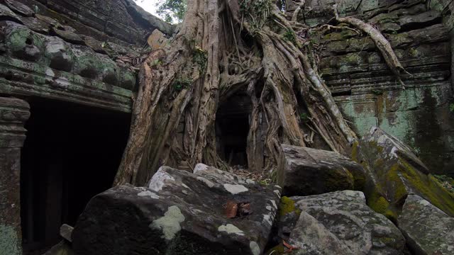 柬埔寨暹粒的Prasat Ta prohm寺庙视频素材