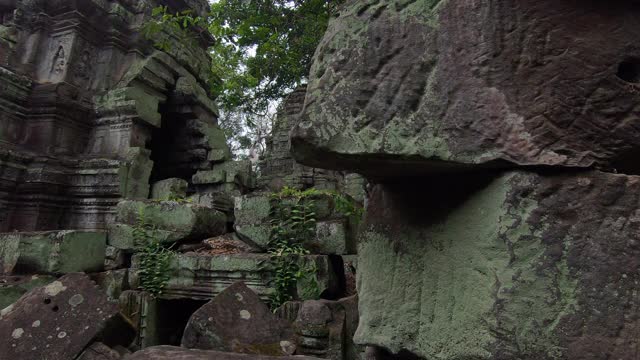 柬埔寨暹粒的Prasat Ta prohm寺庙视频素材