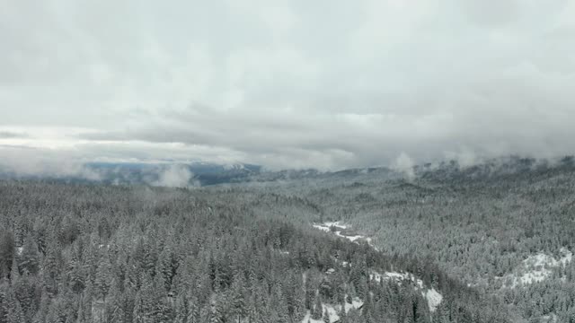 4k航拍水平飞过被雪树包围的山谷视频素材