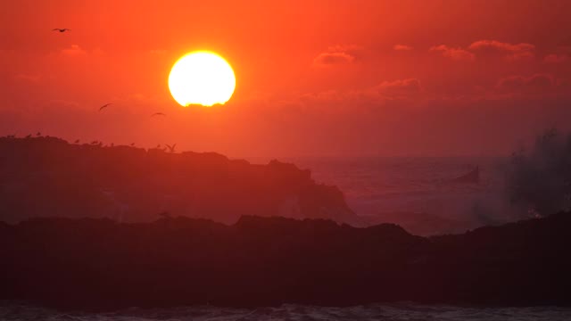 海鸥在夕阳下尖叫着飞过海面视频素材