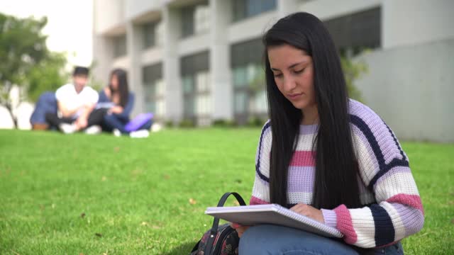 美丽年轻的女学生坐在草地上学习，然后面对镜头微笑视频素材