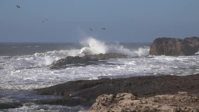 浪花飞溅，海鸥飞翔视频素材