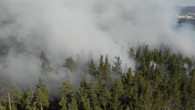 森林大火正在猛烈燃烧视频素材