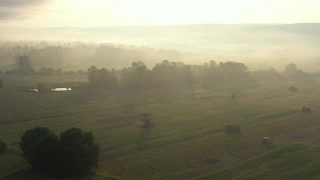 农业山谷和树木上空的雾气4K无人机拍摄视频素材