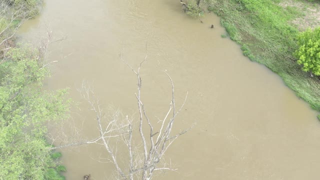 泛滥的河流沿海地区与森林和肥沃的土地4K无人机视频视频素材