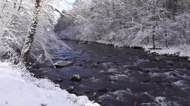 一场冬季降雪后，山溪穿过树林视频素材