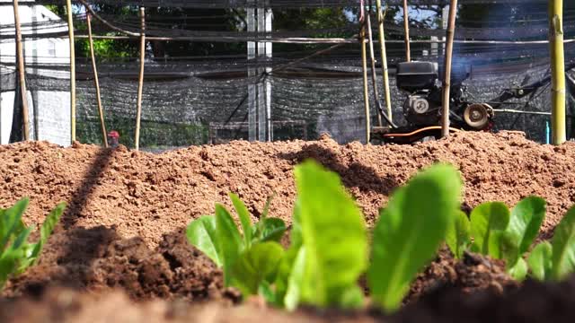 一位亚洲男性农民正在用机器耕田视频素材