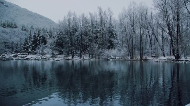 冬季景观与湖泊在森林和野生树木的中间视频素材