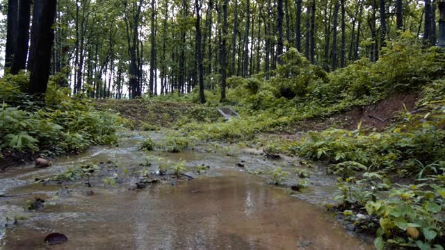 在喜马拉雅地区丘陵地区通过池塘收集雨水视频素材