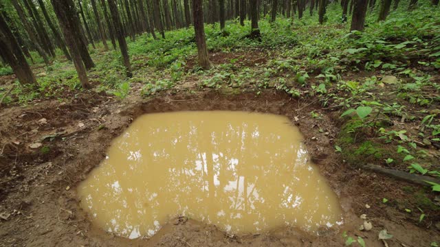 印度雨水收集的方法视频素材