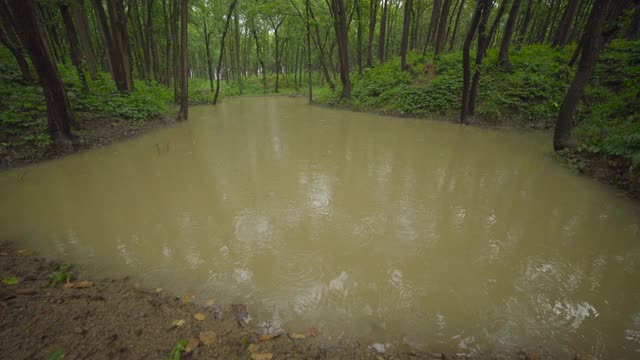 印度雨水收集的方法视频素材