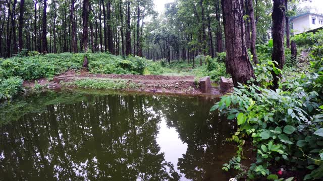 在喜马拉雅地区丘陵地区通过池塘收集雨水视频素材