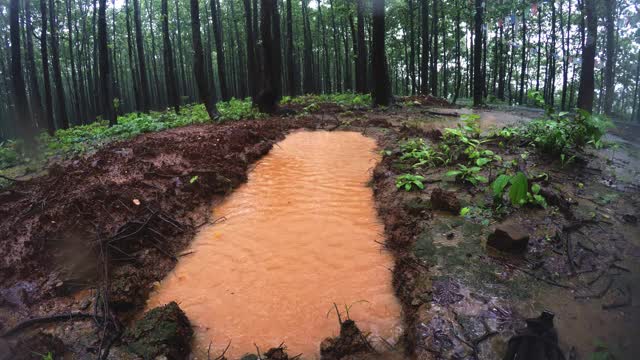 在喜马拉雅地区丘陵地区通过池塘收集雨水视频素材