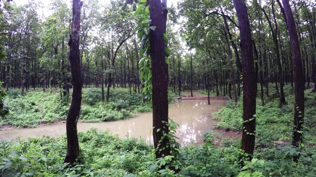 在喜马拉雅地区丘陵地区通过池塘收集雨水视频素材