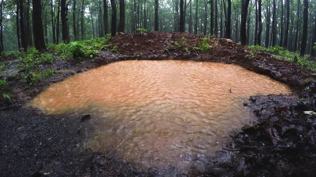 在喜马拉雅地区丘陵地区通过池塘收集雨水视频素材