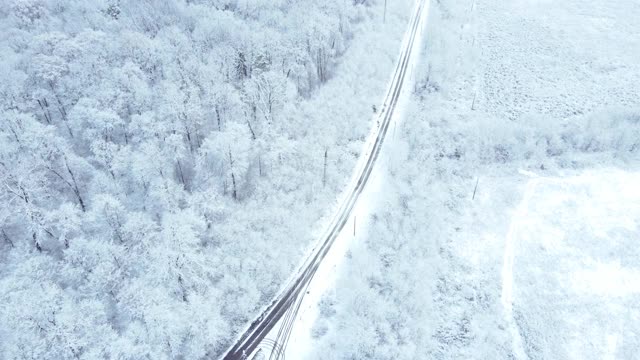 森林附近积雪的道路鸟瞰图视频素材