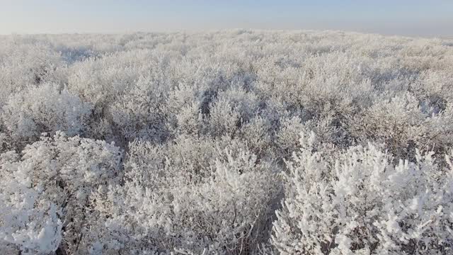 冰雪覆盖的森林是冬天的景观视频素材