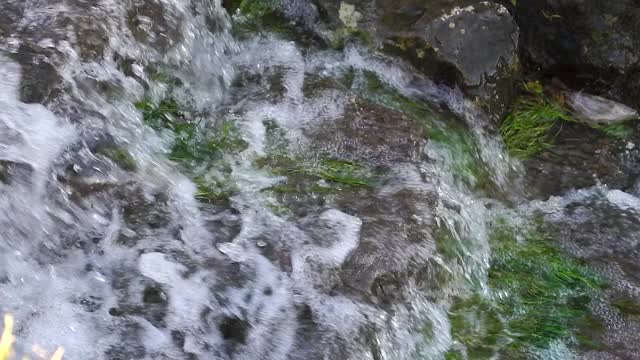 雨水流过石头闭合视频素材