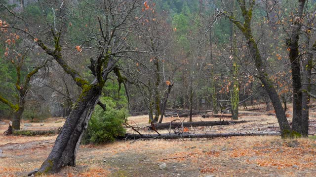 Bridalveil瀑布和大教堂岩石，约塞米蒂山谷，暴风雨的一天，约塞米蒂国家公园，马里波萨县，加利福尼亚州，4K视频视频素材