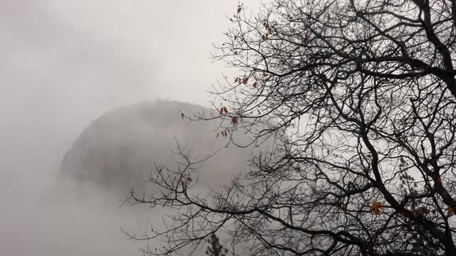 El Capitan和黑橡树在约塞米蒂山谷，暴风雨的一天，约塞米蒂国家公园，马里波萨县，加利福尼亚州，4K视频视频素材