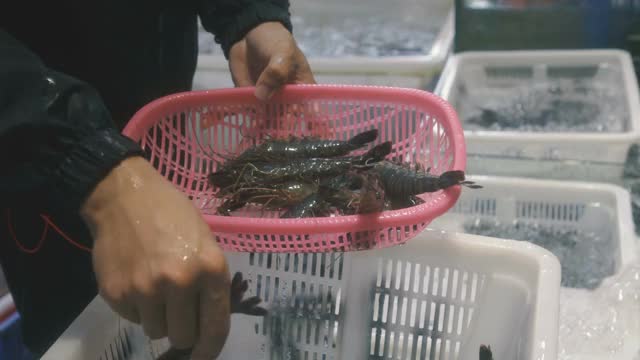 水产市场观视频素材