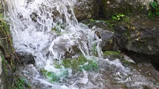 雨水淹没了公园里长满苔藓的古老石阶。排水水视频素材