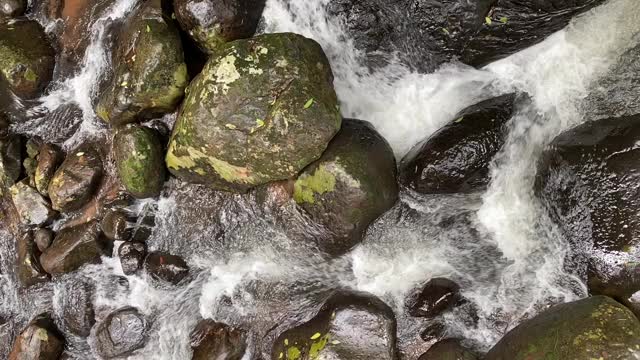 小溪在夏季的绿色森林中奔流。小瀑布和清澈的水。长满苔藓的石头和木头。视频素材