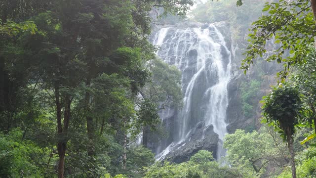 瀑布在热带雨林视频素材