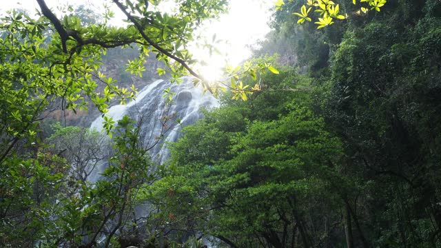 瀑布在热带雨林视频素材