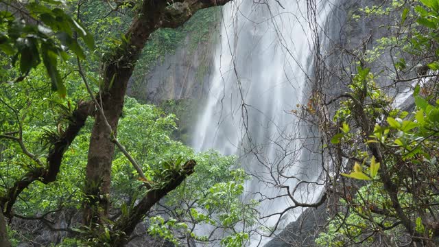 瀑布在热带雨林视频素材