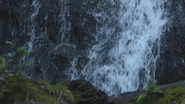 清澈的河流流过棕色的苔藓岩石在热带岛屿雨林。美丽的山白水小溪。视频素材