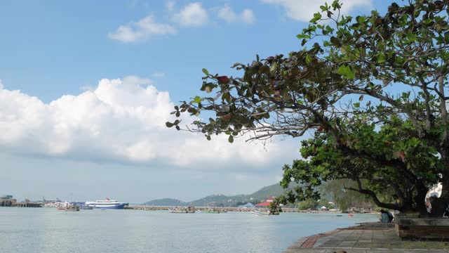 美丽的夏日大海和蓝天从苏梅岛码头，泰国视频素材