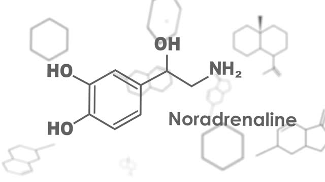 公式去甲肾上腺素的荷尔蒙。视频素材