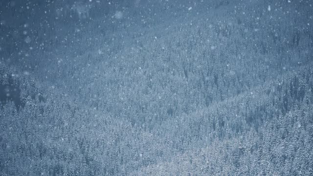 雪落在山上的树林里。美丽的视频剪辑雪天在徒步旅行拍摄。高原公园下大雪视频素材