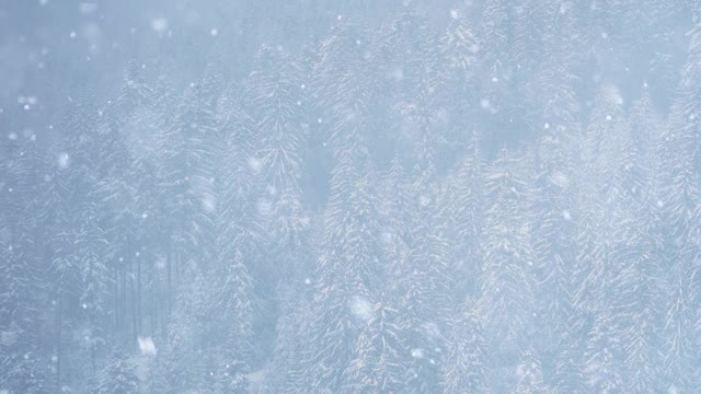 美丽的雪域森林在冬日拍摄。大雪落在山上的树上视频素材