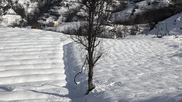 土耳其黎泽传统石屋前的白雪茶田视频素材