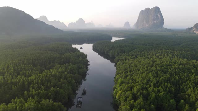 4k鸟瞰图多莉湿地河在红树林视频素材