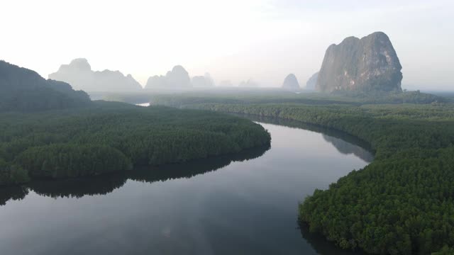 4k鸟瞰图多莉湿地河在红树林视频素材