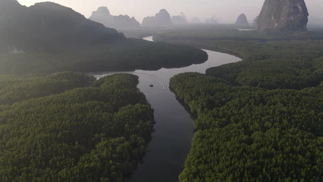 4k鸟瞰图手推车倾斜长尾船在湿地河在红树林视频素材