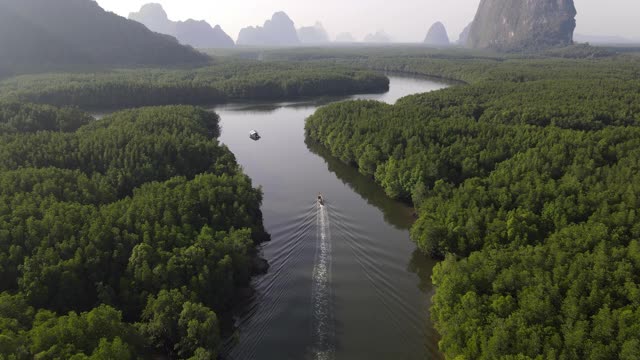 4k鸟瞰图手推车倾斜长尾船在湿地河在红树林视频素材