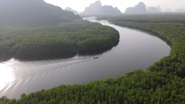 4k鸟瞰图圆形轨迹长尾船在湿地河红树林视频素材