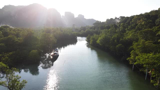 4K鸟瞰图小车悬索桥在湿地运河在红树林视频素材