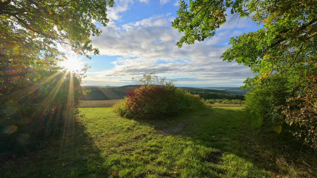 秋天阳光下的岔路口，Höhefeld, Wertheim, Baden-Württemberg，德国视频素材