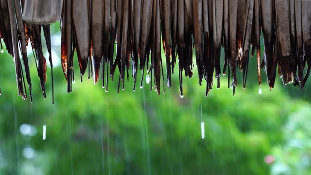 夏天的雨，大雨滴落在稻草屋顶，坦桑尼亚，非洲视频素材